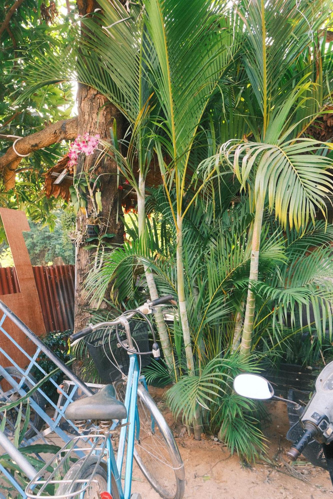 Siem Reap Homesteading II Zewnętrze zdjęcie